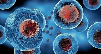 Kök Hücre Nedir? Nerelerde Kullanılır ve Ne İşe Yarar?