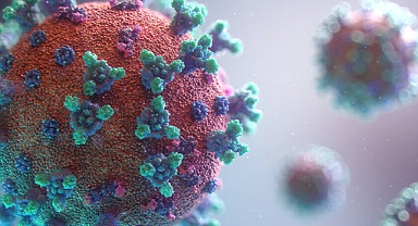  Kovid-19 küresel risk taşıyan tehlikeli bir bulaşıcı hastalık olmayı sürdürüyor