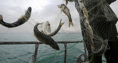 Küçük ölçekli balıkçılara destek ödemeleri artırıldı