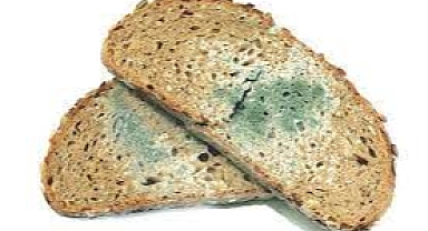 Küflü gıda temizlenip, kullanılabilir mi?