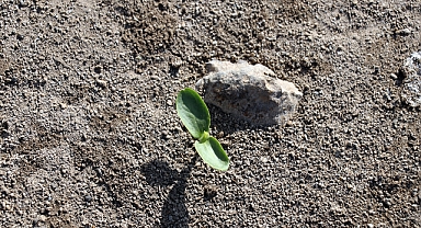 Kuraklıkla mücadele için su ayak izini azaltma önerisi