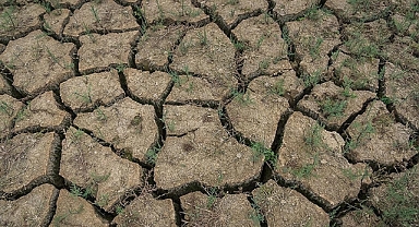 Küresel Riskler 2023: Acil Yaşam Maliyeti Krizi ile Sürdürülebilir İklim Aksiyonu Arasındaki Gerilimler Doruk Noktasında