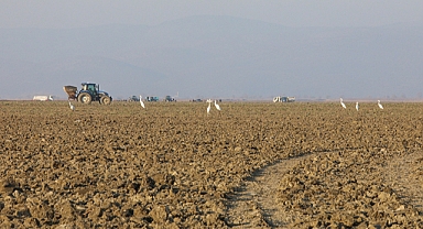 Kuruyan Marmara Gölü'nün 35 bin dekarlık bölümünde tarım başladı