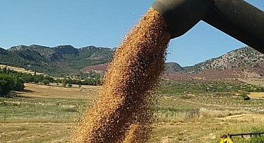 Mevcut kuraklığın tahıl üretimine etkisinin sınırlı olması bekleniyor