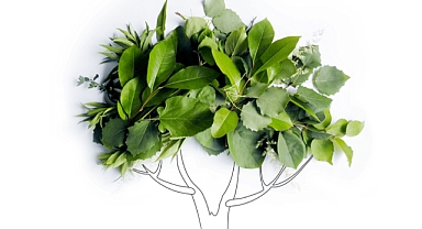 Ne Kadar Karbon Ayak İzine Sahipsiniz?