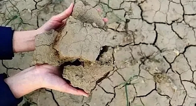 Prof. Demir: 'Böyle Giderse Kış Kuraklığı Yaşanacak'