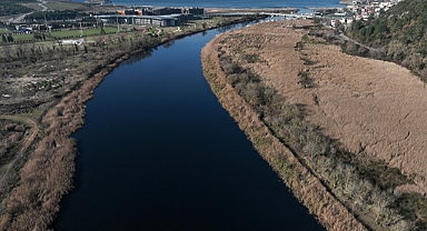 Riva Deresi'ndeki kirlilik vatandaşların tepkisine neden oldu