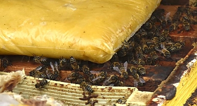 Sıcak hava nedeniyle besin tüketimi artan arılar için takviye tavsiyesi