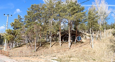 Sivas Kış Ayında Baharı Yaşıyor