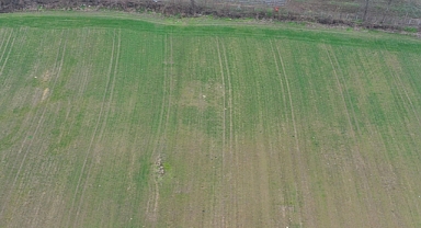 Trakya çiftçisi ürünlerin gelişimi ve yüksek verim için kar yağışı bekliyor