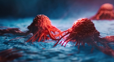 Türk bilim insanları, karaciğer kanseri tedavisinde etkili olan yeni bir molekül belirledi