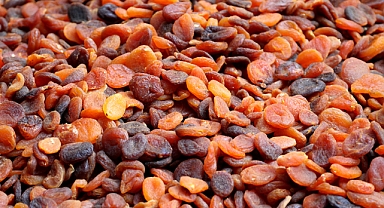 Türk kuru meyve sektörünün önceliği topraklarını koruyarak sürdürülebilir üretim ve ihracat