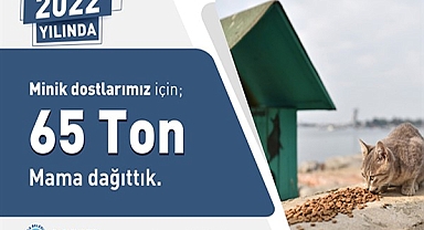 Tuzla Belediyesi, 2022 yılında minik dostlar için 65 ton mama dağıttı