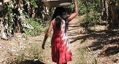 Yerliler, Amazon ‘Kara Toprağını’ Bilerek Yaratmış Olabilir