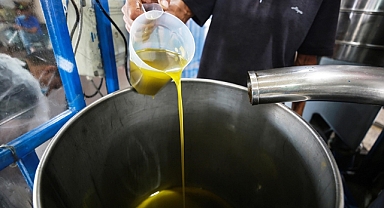 Zeytinyağı işletmelerinin su kirliliğini azaltması için genelge yürürlüğe girdi