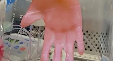 3 Boyutlu El Derisi Üretildi