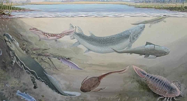 360 Milyon Yıl Önce Güney Afrika’da İnsanların Atalarını da Avlamış Devasa Bir Balık Türü Keşfedildi