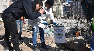 Adalet Bakanlığı'ndan Deprem Bölgesindeki Hırsızlıklara İlişkin Soruşturma Talimatı