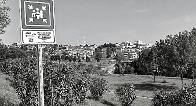 Afet ve Acil Durum Toplanma Alanı sorgulama nasıl yapılır?