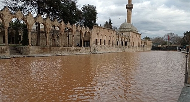 Balıklıgöl'ün suyu deprem sonrası çamur rengine döndü