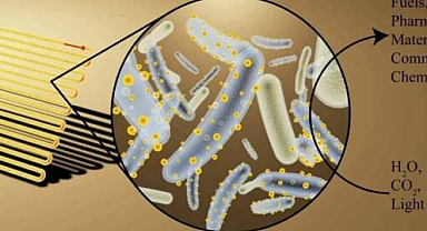 Bilim İnsanları, Programlanabilir Yarı Canlı Hücreler Üretmeyi Başardı