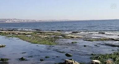 Deniz çekilmişti: Kandilli Rasathanesi'nden 'Marmara' açıklaması