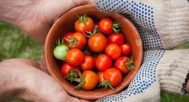 Deprem Bölgesindeki Destek Olabileceğiniz Yerel Üreticiler - Küçük İşletmeler