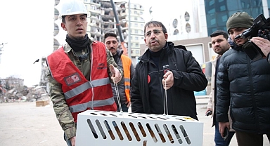 Diyarbakır'da 7 kedi kurtarıldı