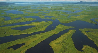 Dünyadaki Tür Zengini Sulak Alanların Beşte Biri Yok Oldu