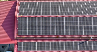 Giresun'da 3 fındık işleme tesisi enerjisini güneşten sağlıyor