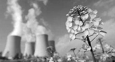 Güney Koreli şirket, Türkiye'de nükleer santral kurmak istiyor.