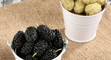 Hangi Meyvede Hangi Vitamin Var?