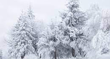 İstanbul'da Çarşamba günü bazı kamu çalışanları idari izinli sayılacak