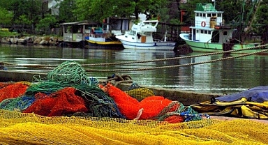 Karasu'da 'Somon Balığı İşleme Tesisi' kurulacak
