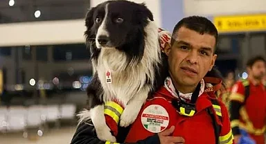 Meksika, meşhur arama kurtarma köpeklerini Türkiye'ye yolluyor