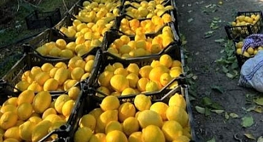 Metro Türkiye’den Deprem Bölgesindeki Üreticilere Sürdürülebilir Destek