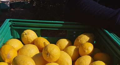 MİGROS DEPREM BÖLGESİ’NDEKİ YEREL ÇİFTÇİLERE DESTEK ELİ UZATIYOR