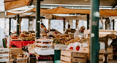 Organik Ürün Hakkında Her Şey