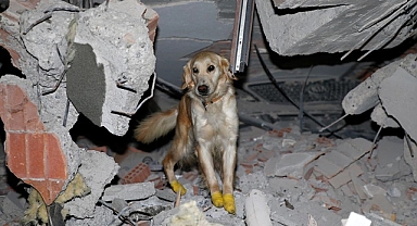 Patileri enkazda zarar gören 