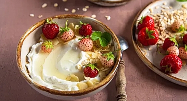 Probiyotik Hakkında Her Şey