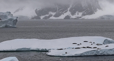 Türk bilim heyeti Antarktika'ya ayak bastı