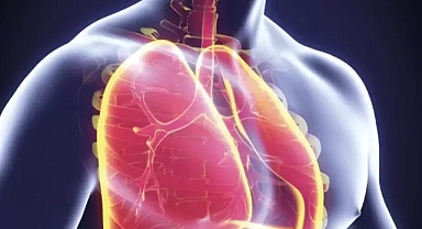 Uzmanlardan “Deprem Sonrası Solunum Yolu Enfeksiyonları” Uyarısı !