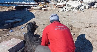 Veteriner hekimler enkazdan 6 keçiyi kurtardı