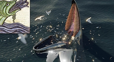 2 Bin Yıllık Viking Deniz Canavarının Gizemini Çözdü