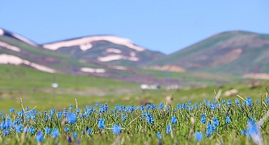 45 büyük ovanın koruma alanı değiştirildi