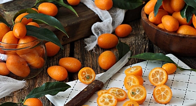 Altın Besin Kamkatın Bilinmeyen Faydaları Nelerdir?