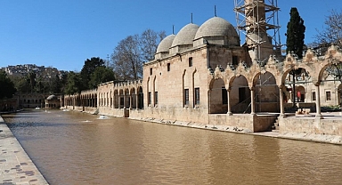 Balıklıgöl'de selin ardından balıklar kendilerini göstermeye başladı