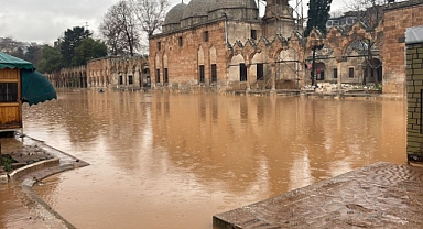 Balıklıgöl'deki balıklara ne oldu?
