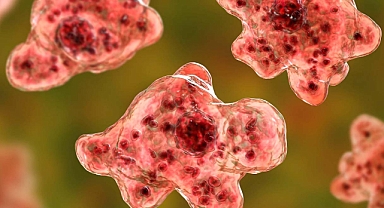 'Beyin Yiyen Amip', Bir Kişinin Daha Yaşamını Sonlandırdı