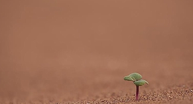 Bilim insanları, iklim aksiyonunun artırılması için fırsat penceresinin hızla kapandığı uyarısında bulundu